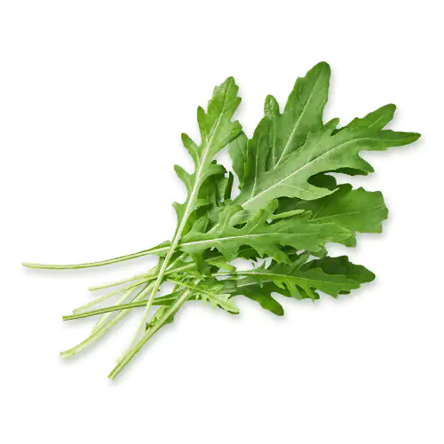 Rocket Leaves 125g Italy